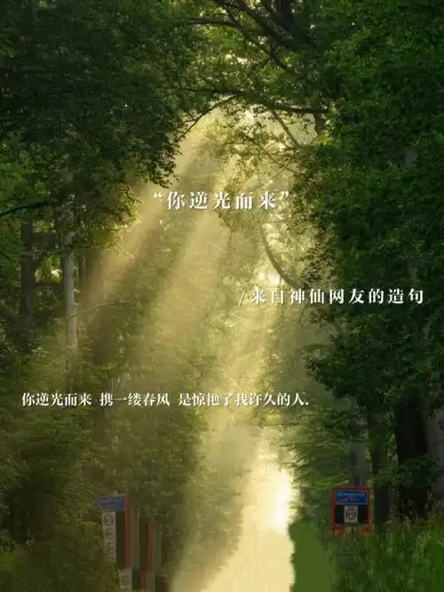 你逆光而来却不是我的救赎