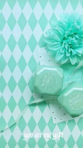 薄荷绿——you are my gift #颜色 #壁纸 #摄影 #薄荷绿 #清新治愈系