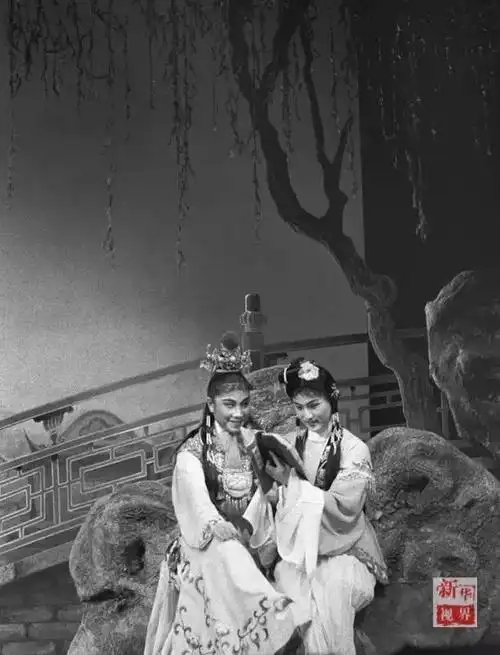 玉兰花落|怀念"永远的宝哥哥"徐玉兰先生