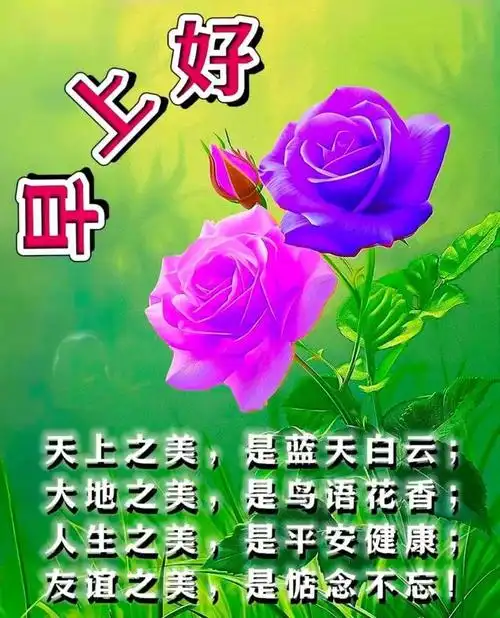 7月18日早上好祝福语美图合集-感恩相遇,珍视友情!周四早上好!