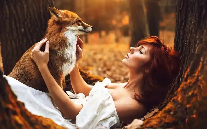 女孩和狐狸唯美意境壁纸