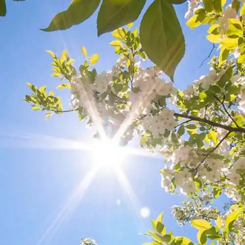 唯美文艺风格qq背景墙微信背景图 烦恼都是小事故