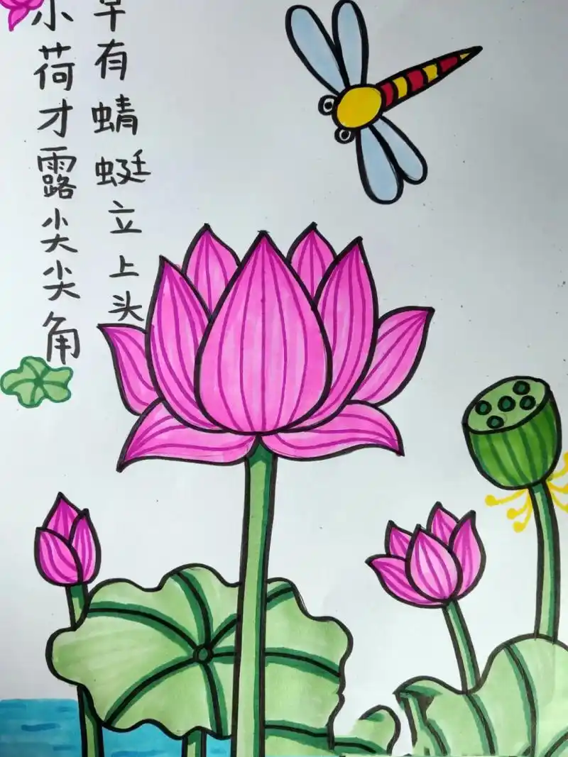 荷花蜻蜓儿童简笔画