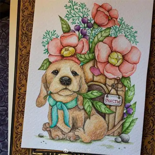 漂亮的花卉,动物彩铅手绘~【插画师:Аля illustrations】