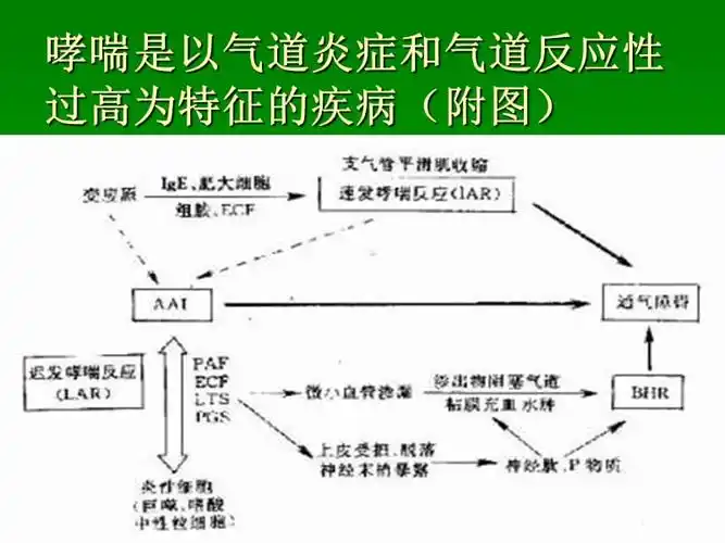 常用支气管哮喘药物介绍课件.ppt