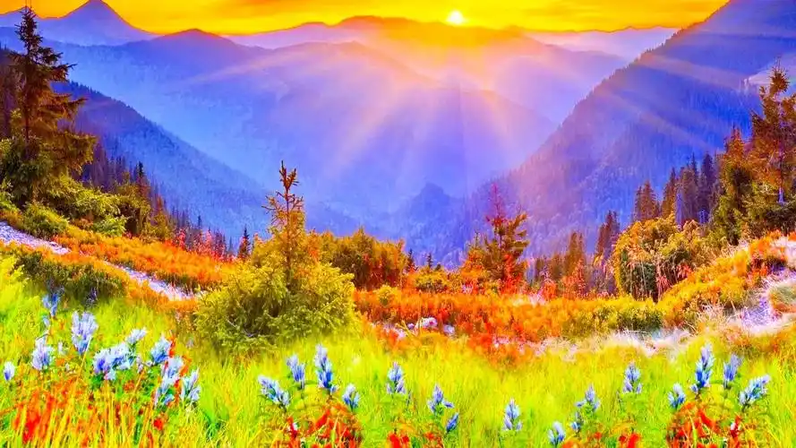 人世间最美好的东西,就是心灵的美好,它是任何美都无法替代的美