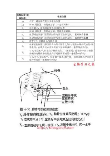 心电图导联位置doc