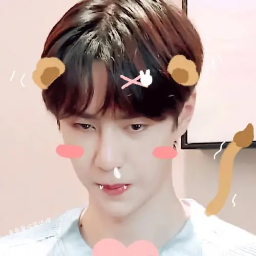 王一博头像|天天向上