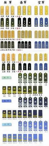 peixudong88的博客