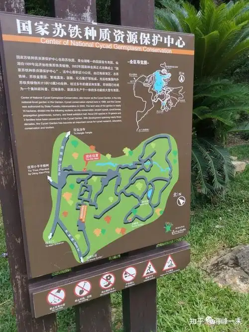 深圳闲游仙湖植物园弘法寺