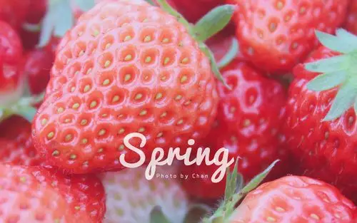 > 实拍小清新草莓日系摄影图片电脑壁纸(1920×1200)