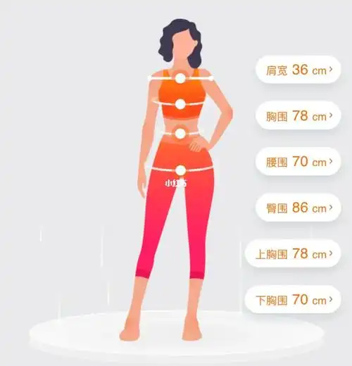 看围度判断体型