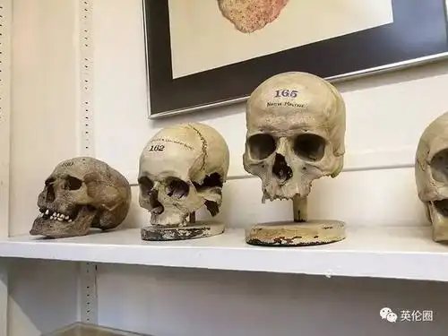 逛完今年只开放2天的"世界最怪异博物馆",想借胆再去第二次