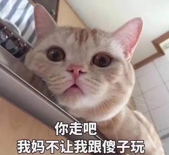 搞怪背景图,搞怪背景图全屏(搞笑的朋友圈背景图,拿去不谢)