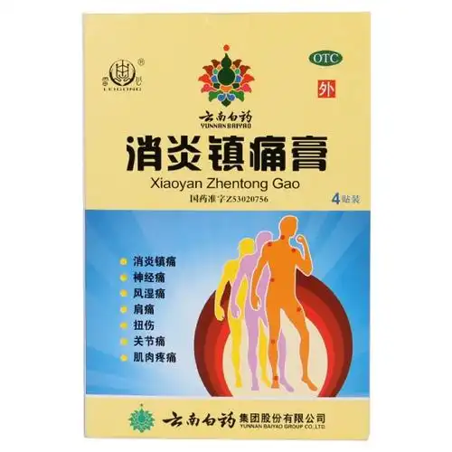 消炎镇痛膏,7cmx10cm2贴x2袋