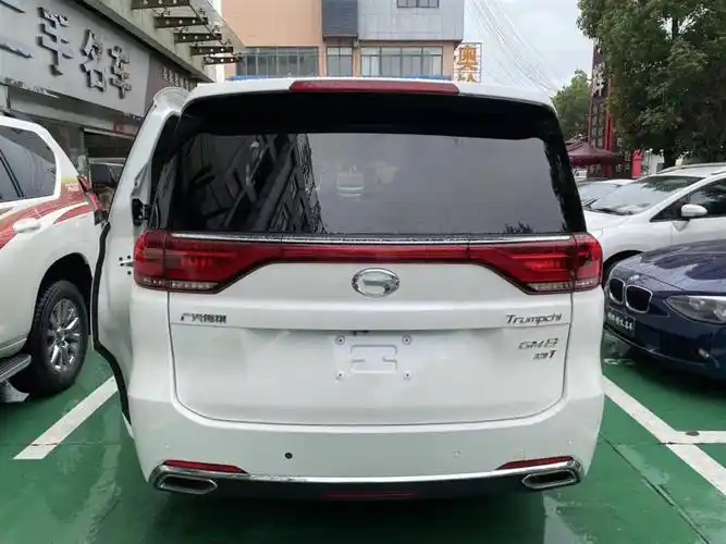 【芜湖】2019年07月 力帆320 2018款 320t 尊享版 自动档