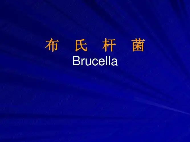 布氏杆菌