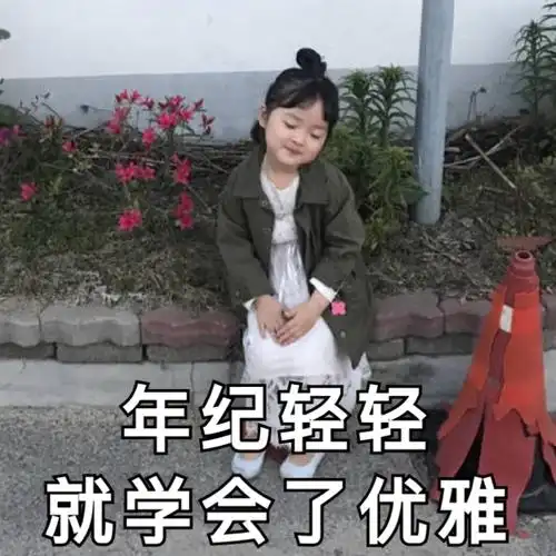 年纪轻轻就学会了优雅权律二权律年纪轻轻优雅学会表情