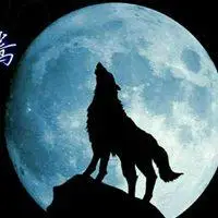 霸气孤独狼的照片头像图片_微信头像图片大全