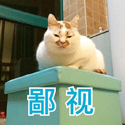 萌宠猫咪猫鄙视斗图gif动图_动态图_表情包下载_soogif