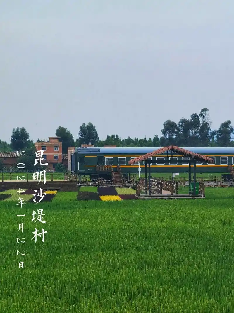 00晋宁沙堤村|看停在田野里的绿皮火车.