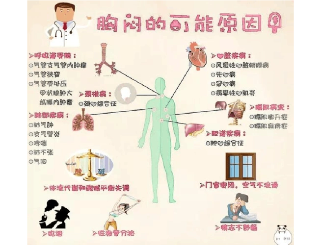 一图读懂胸闷的可能原因