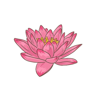 莲花卡通插画图案