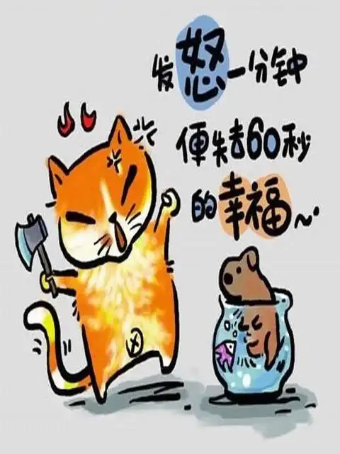 让你笑翻肚子的搞笑语录壁纸480x640-唯美图库