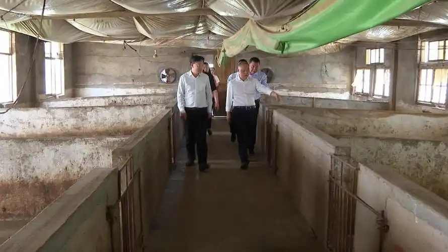 吴韬督导省生态环境保护督察信访交办件整改工作_ 洞口县_ 邵阳市人民