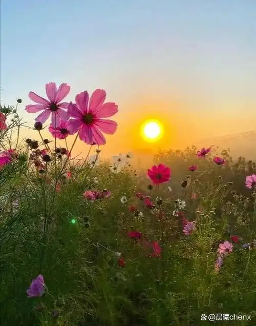 努力修炼心态让自己保持身体健康