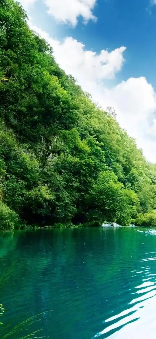 木叶第六视角 壁纸推荐 人们常说绿色可以保护视力,多看绿色对眼睛好