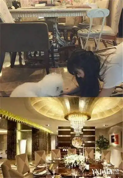 赵丽颖豪宅曝光引围观 穿反加油裤为奥运健儿加油遭调侃