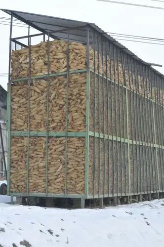 农民自家的粮仓-玉米