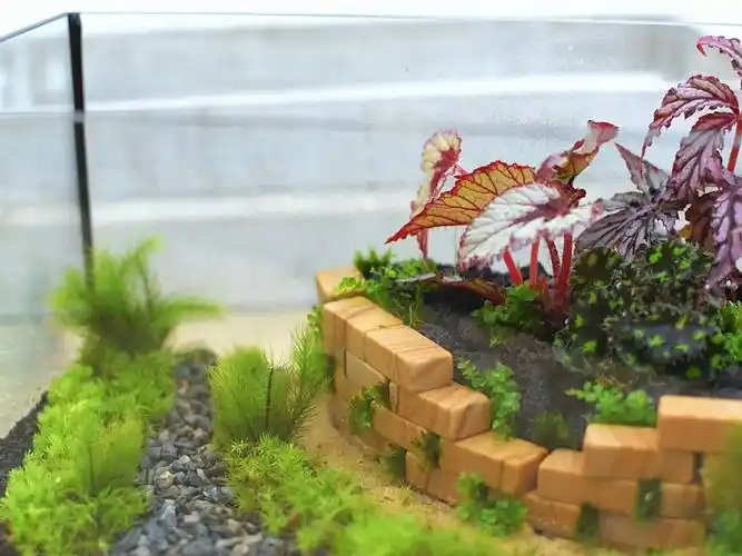 桌面苔藓缸造景