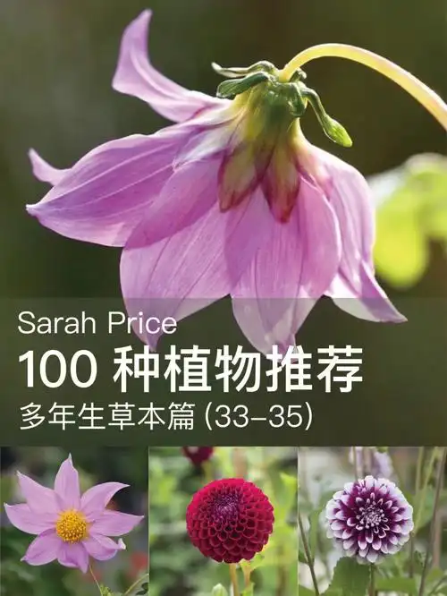 sarah price100种植物推荐perennials33-35