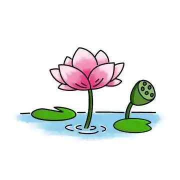 荷花图片大全简笔画 国画荷花图片大全