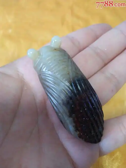 高古玉蝉_和田玉_第1张_7788玉器收藏