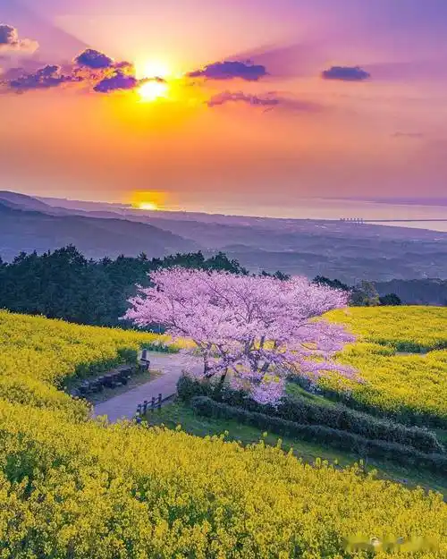 同样风景,为啥别人拍得更好看,这5个摄影技巧帮你风光照片更美_太阳