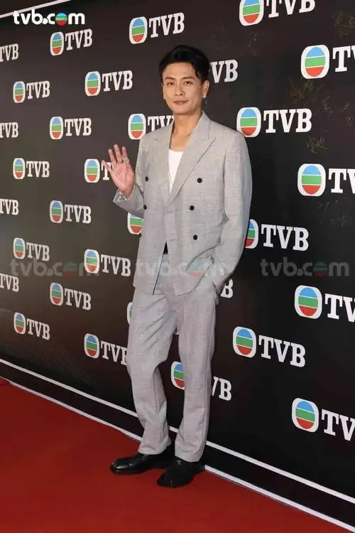 多元媒体的合作计划及方案    出席艺人包括林保怡,黎耀祥,黄宗泽