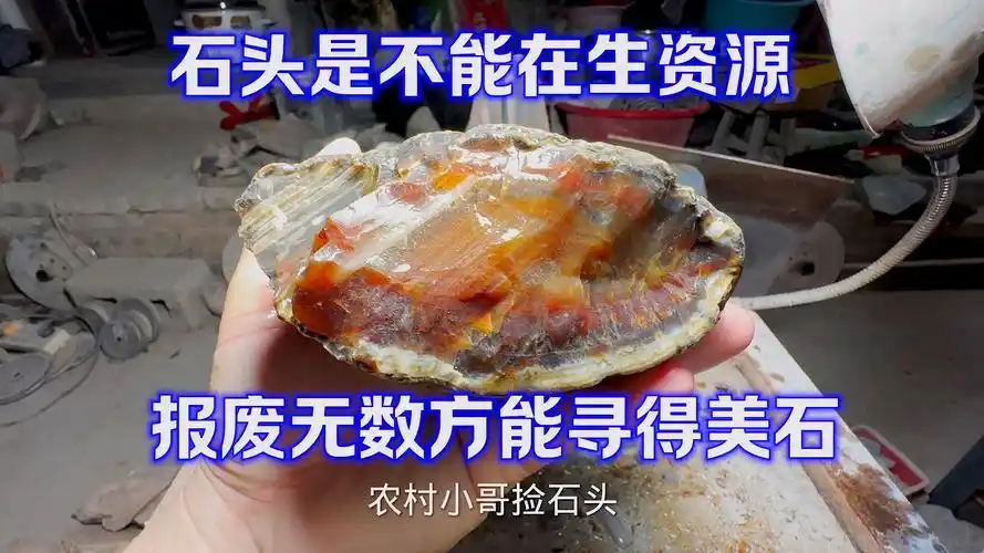 玛瑙石肉质黄色破口有条纹,想出一个手镯,切开出现意外