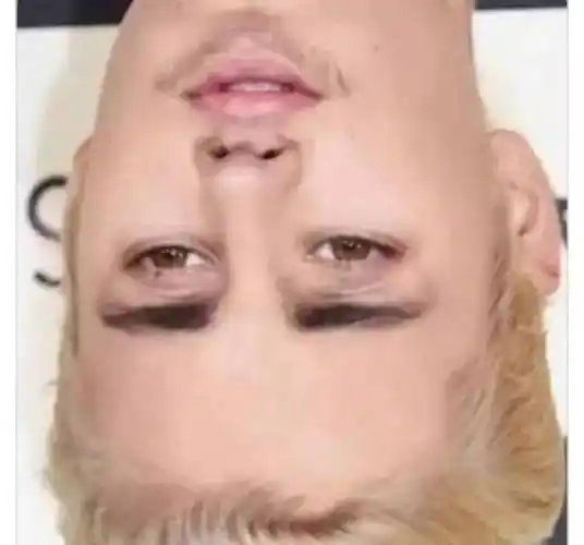 千万不能倒过来看的图片