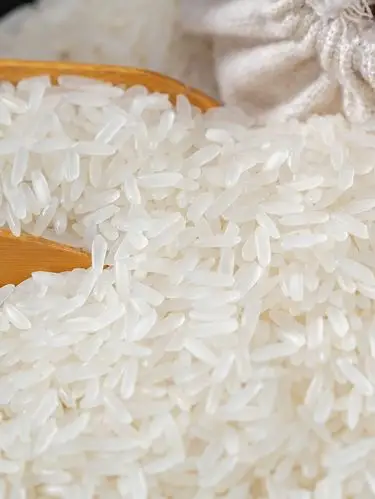 大米长粒香米广西上林金丝苗米10斤油粘米煲仔大米