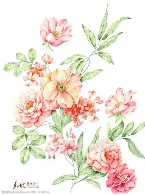 手绘花卉图片