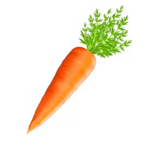 逼真带叶子的胡萝卜389104免抠图片素材