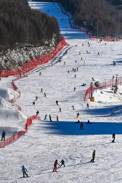 12月24日,人们在张家口市崇礼区万龙滑雪场畅享滑雪乐趣.