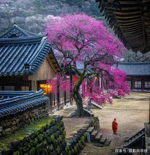 记住这5个字再拍风景照片必须美摄影师绝招大放送