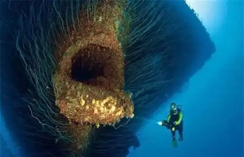 你有巨物恐惧症吗这5张图你能坚持看到第几张呢