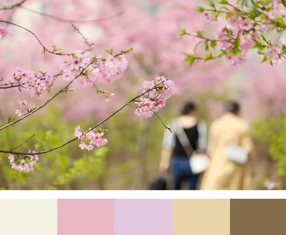 你眼中的春天是什么颜色