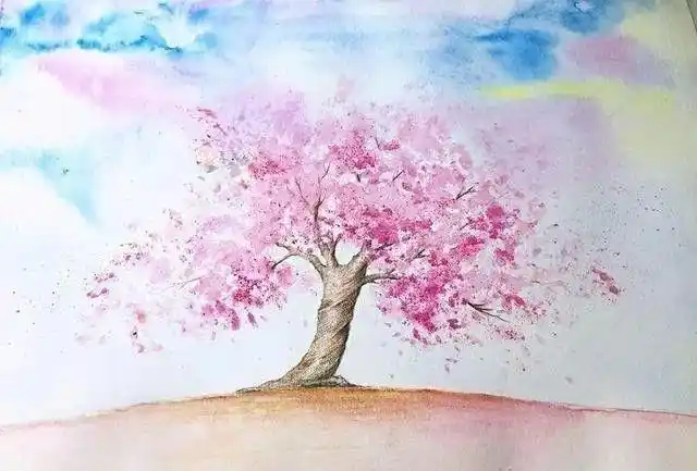 一颗樱花树水溶彩铅教程