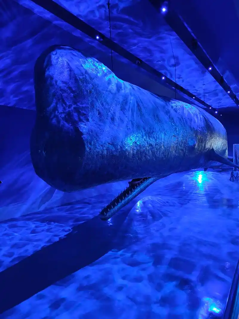 厦门鼓浪屿海底世界一